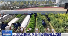 往一荤两素的固定餐制改为午餐、晚餐的“自帮